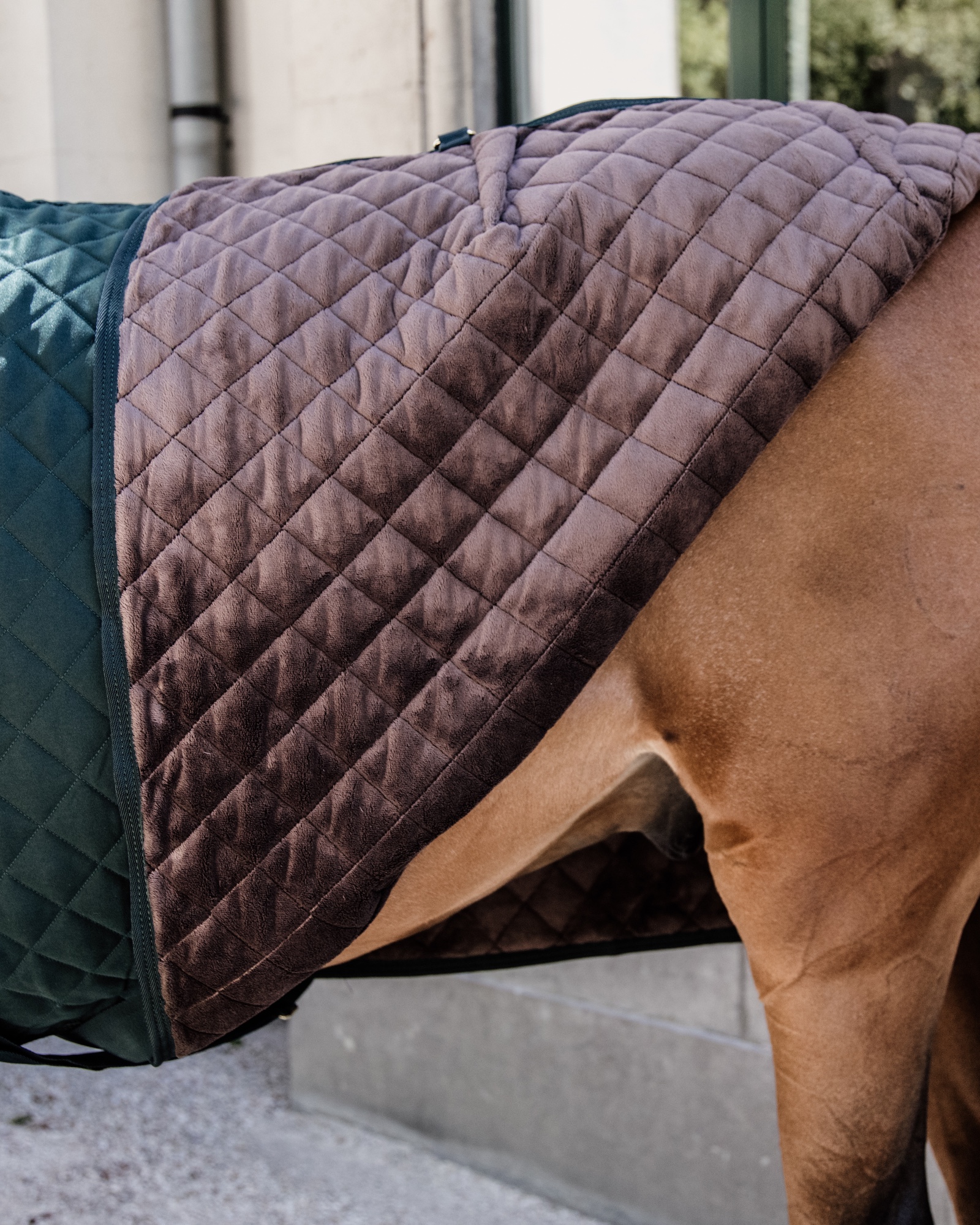 Show rug Show Rug 160g