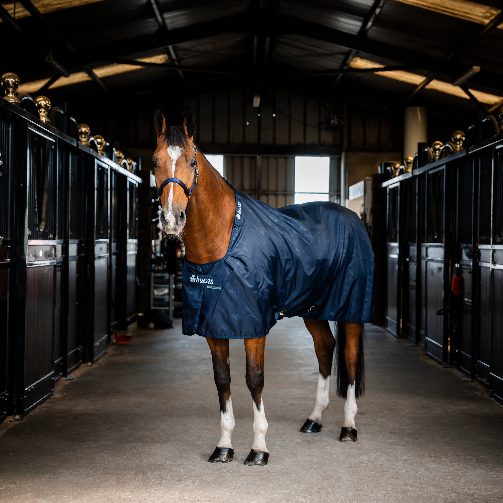 Stalldecke Stable Sheet in Navy/Navy