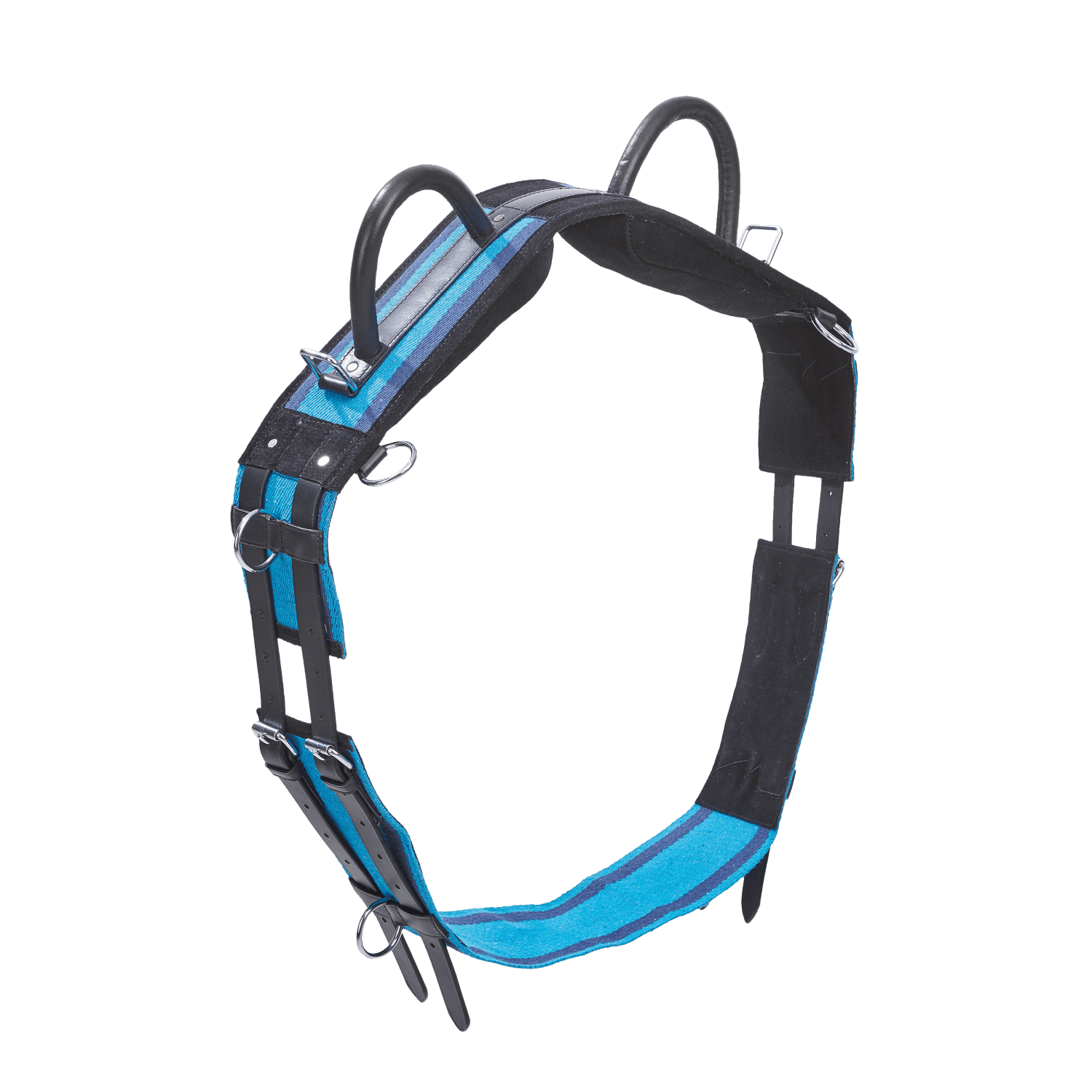 Double lunging harness