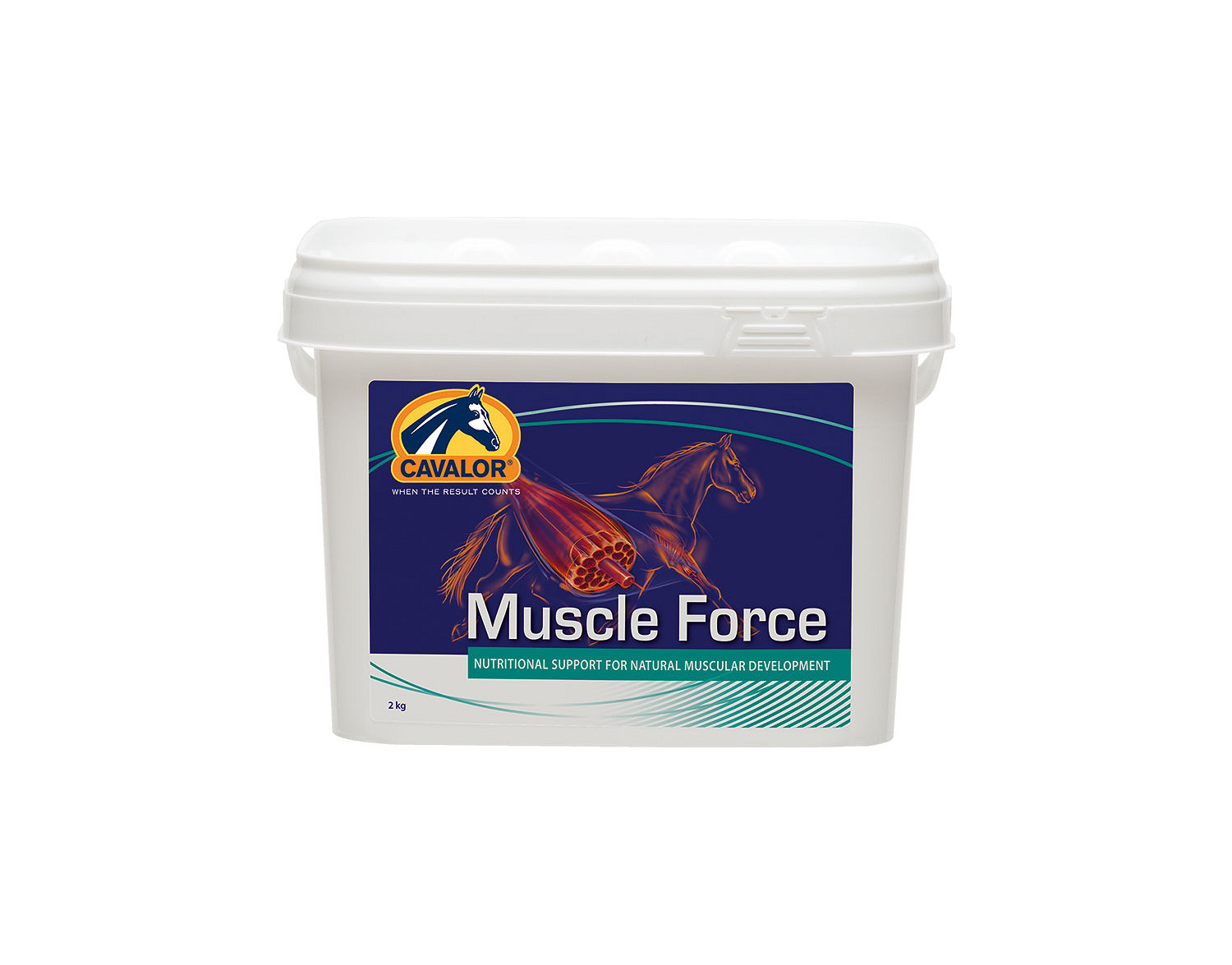Muscle Force 2 kg
