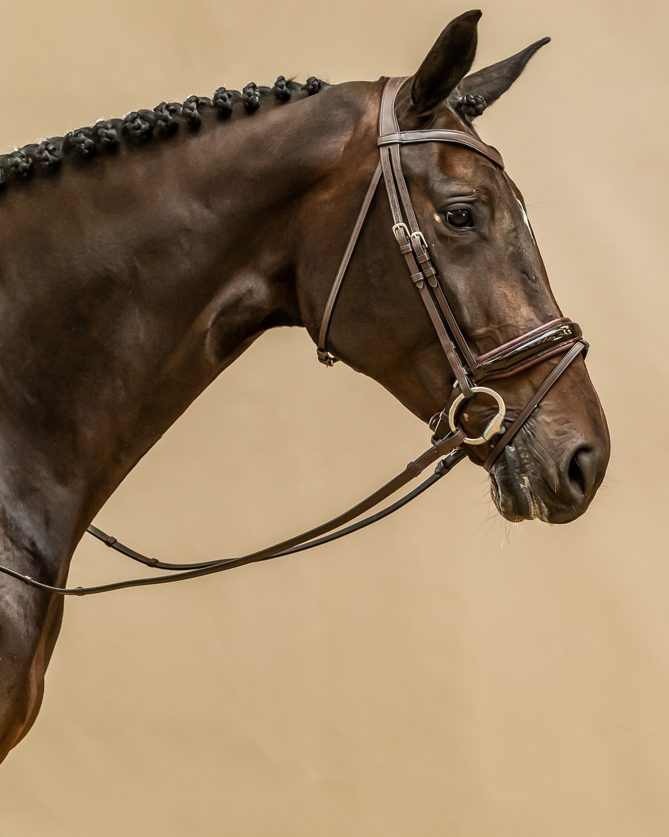 Snaffle bridle wide swedish-combined lacquer