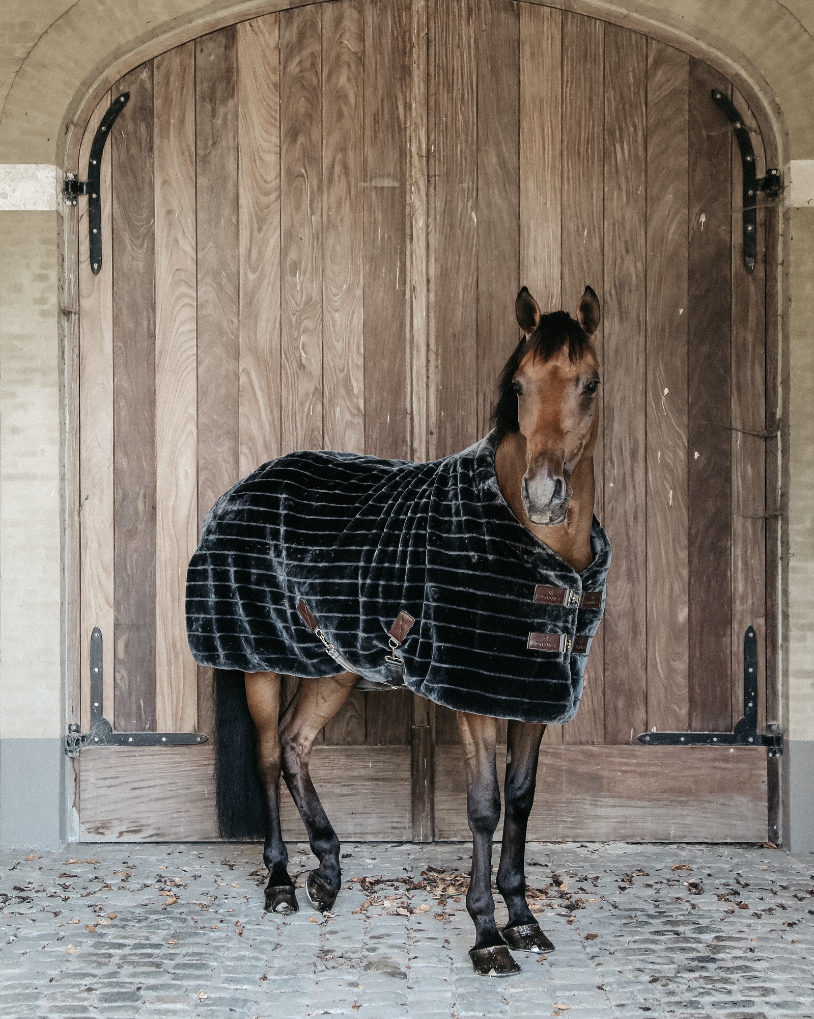 Stable rug fake fur