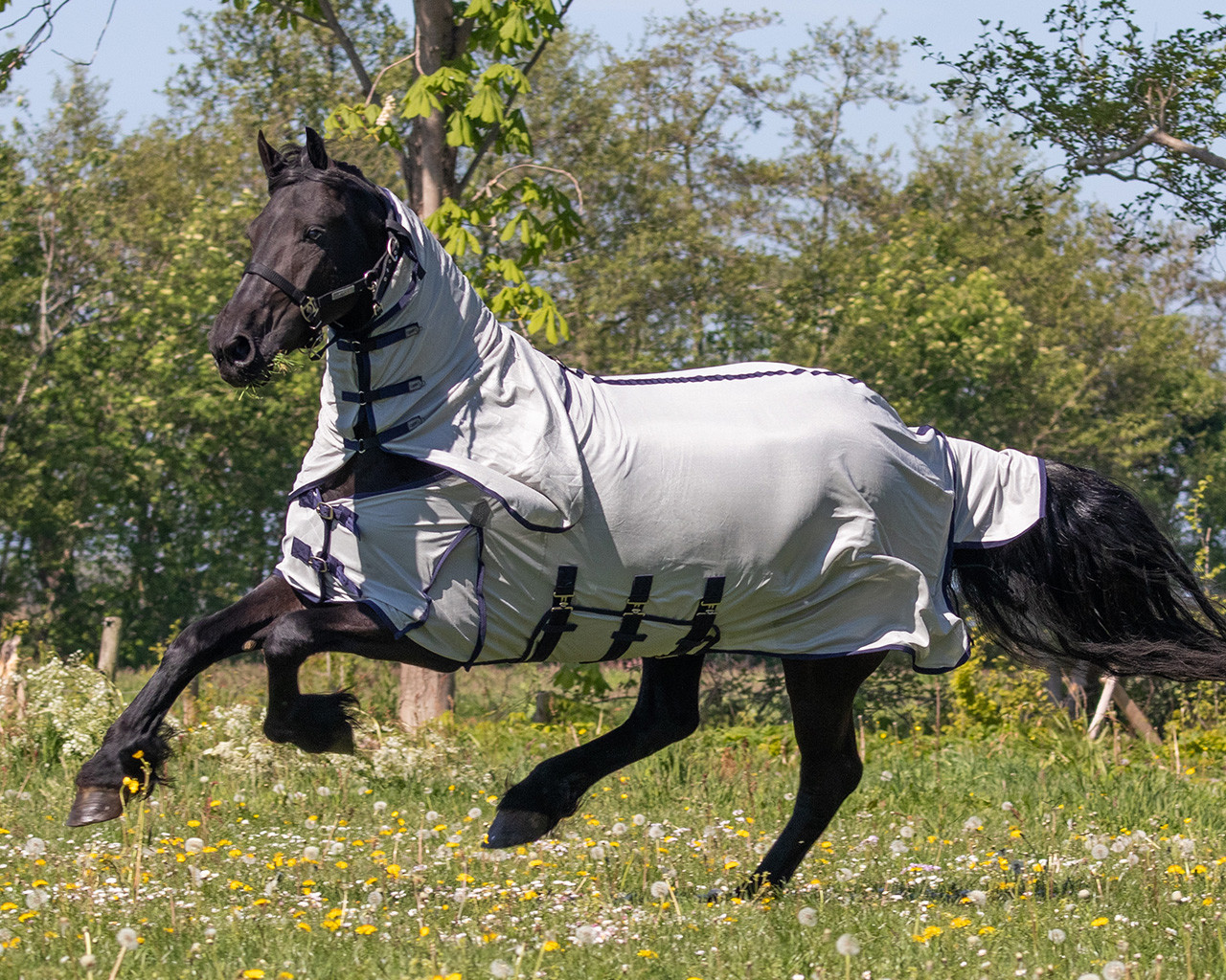 Fly rug with neck and bonnet Big neck