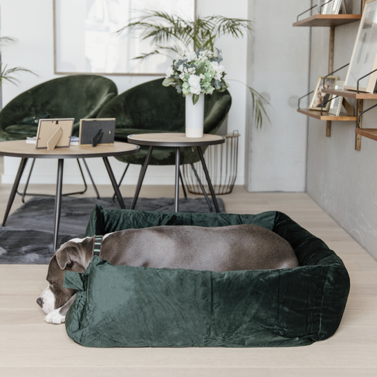 Velvet dog bed
