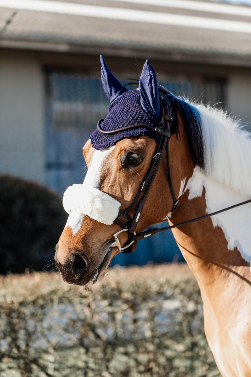 Fliegenhaube