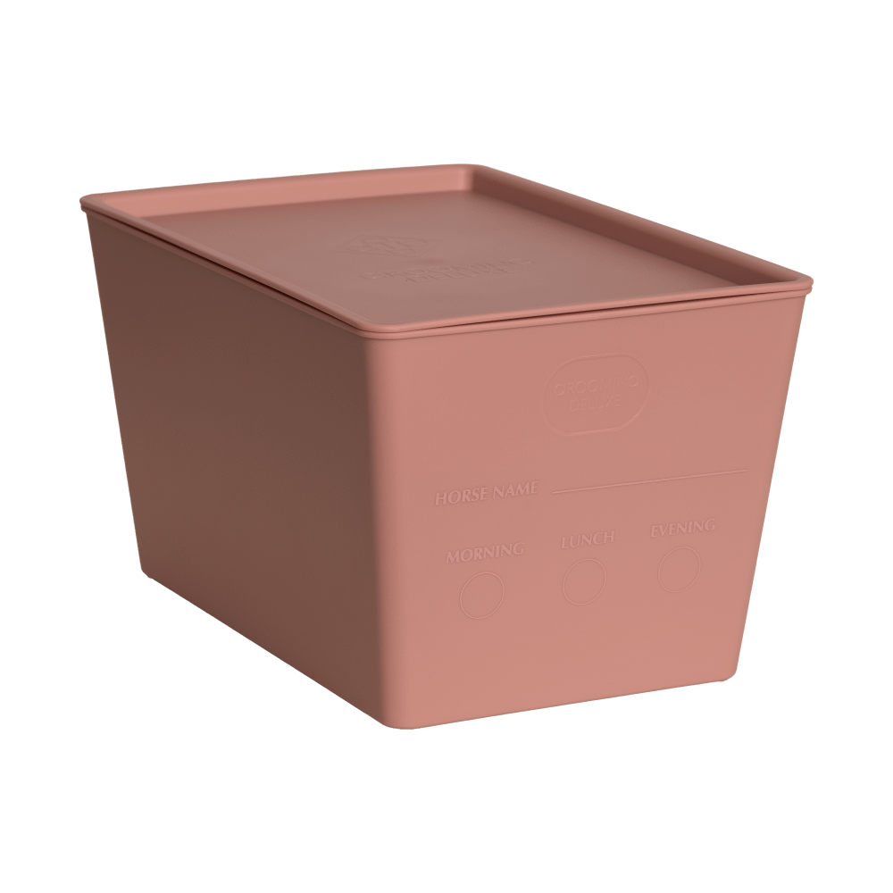 Feed box for horses with lid