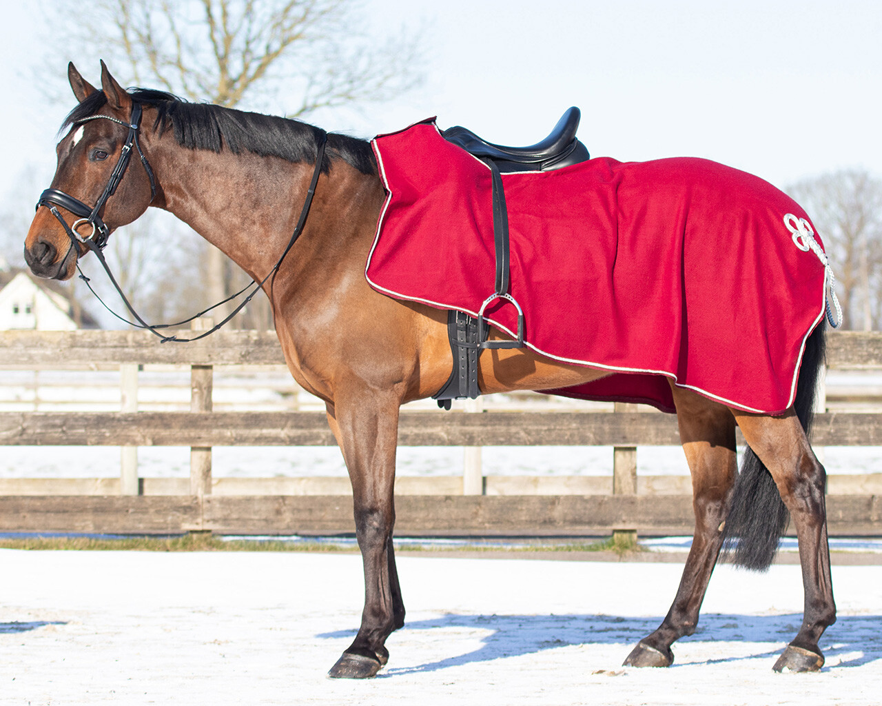 Riding rug fleece with ornament