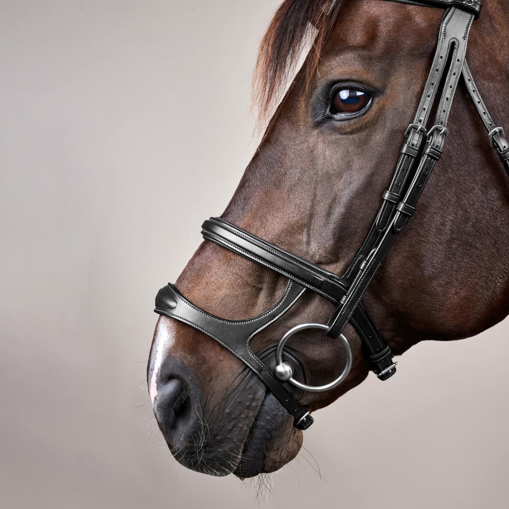 Trense mit Doppelreithalfter NE