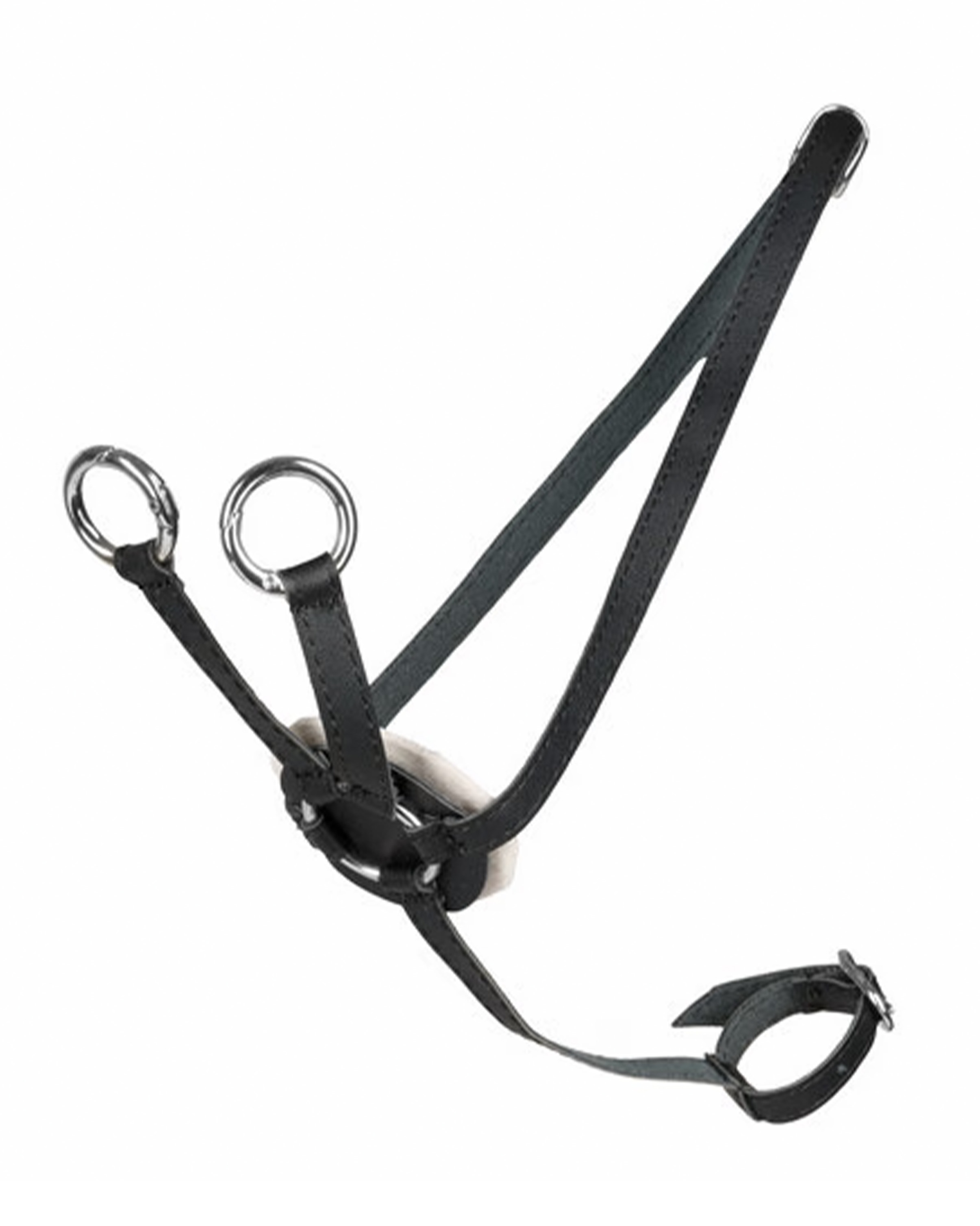 Martingale Hobby Horse