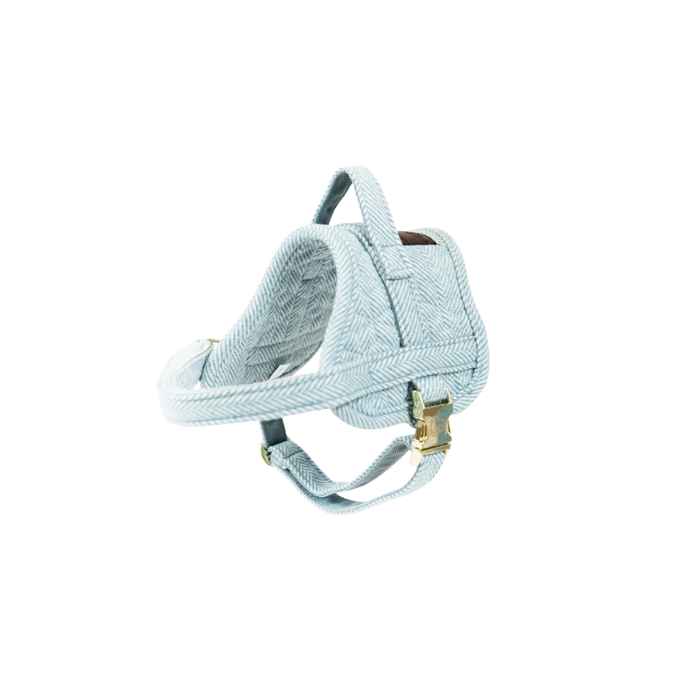 Hundegeschirr Body Safe Wool | Kentucky Dogwear