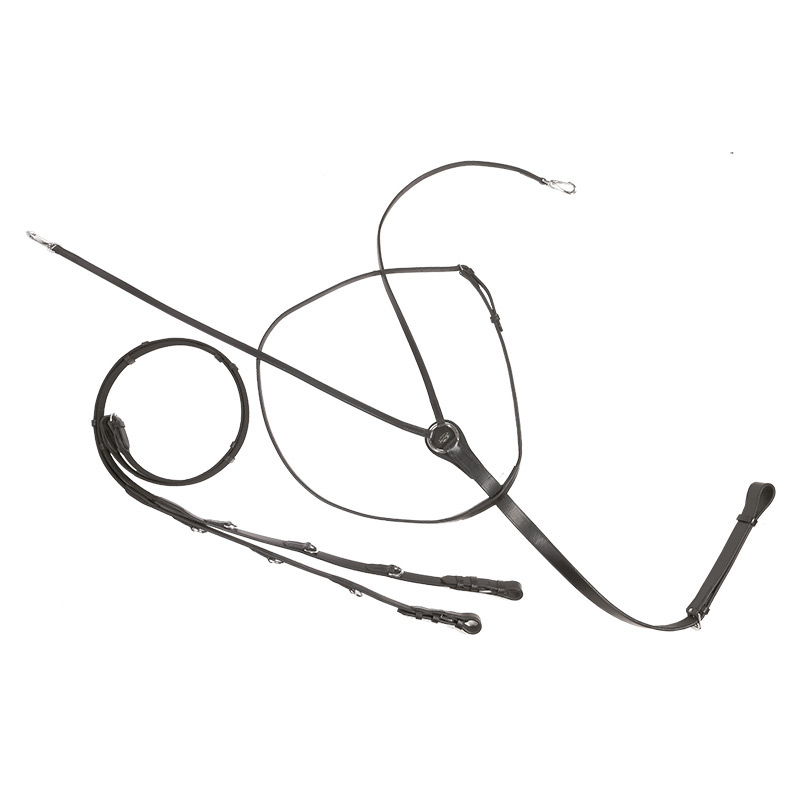 Thiedemann-/Köhler-Zügel