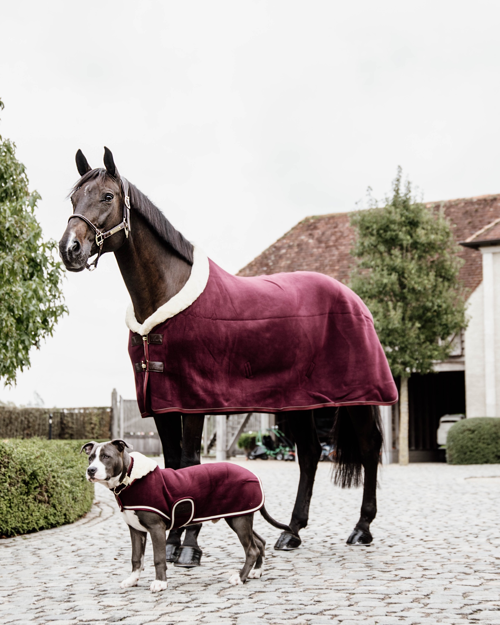 Fleece Show Heavy sweat rug