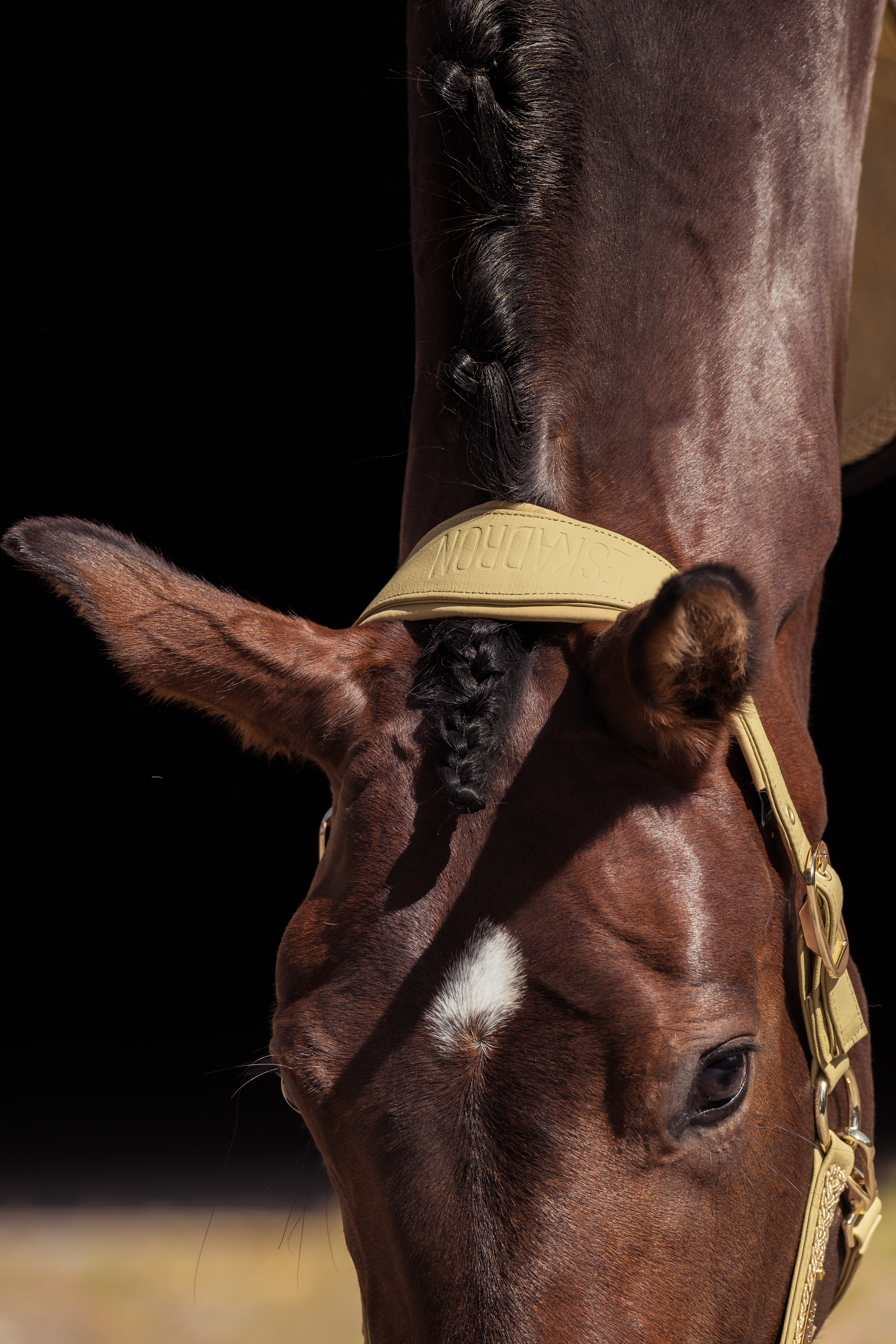 Halfter Heritage Faux Leather