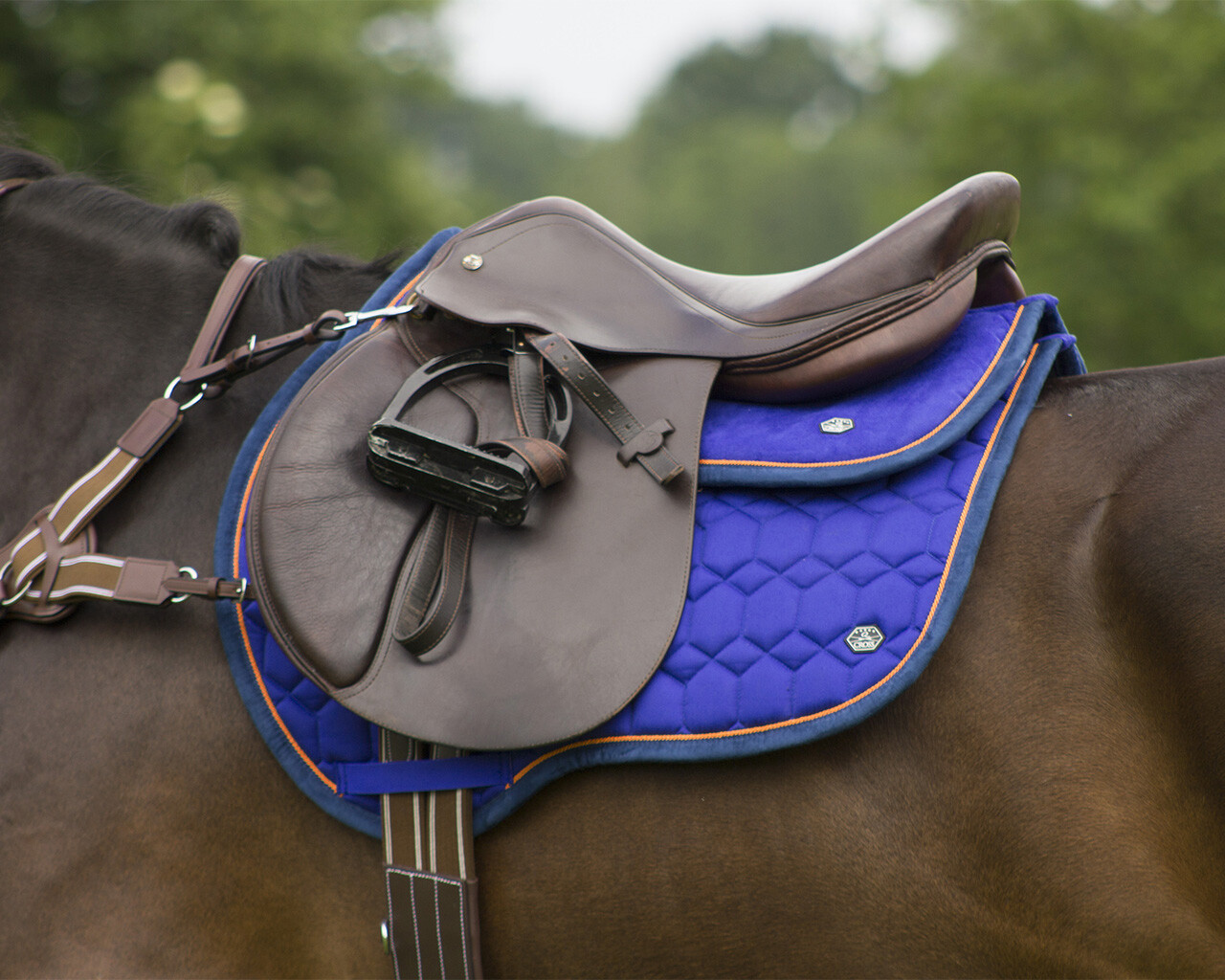 Saddle pad Eldorado