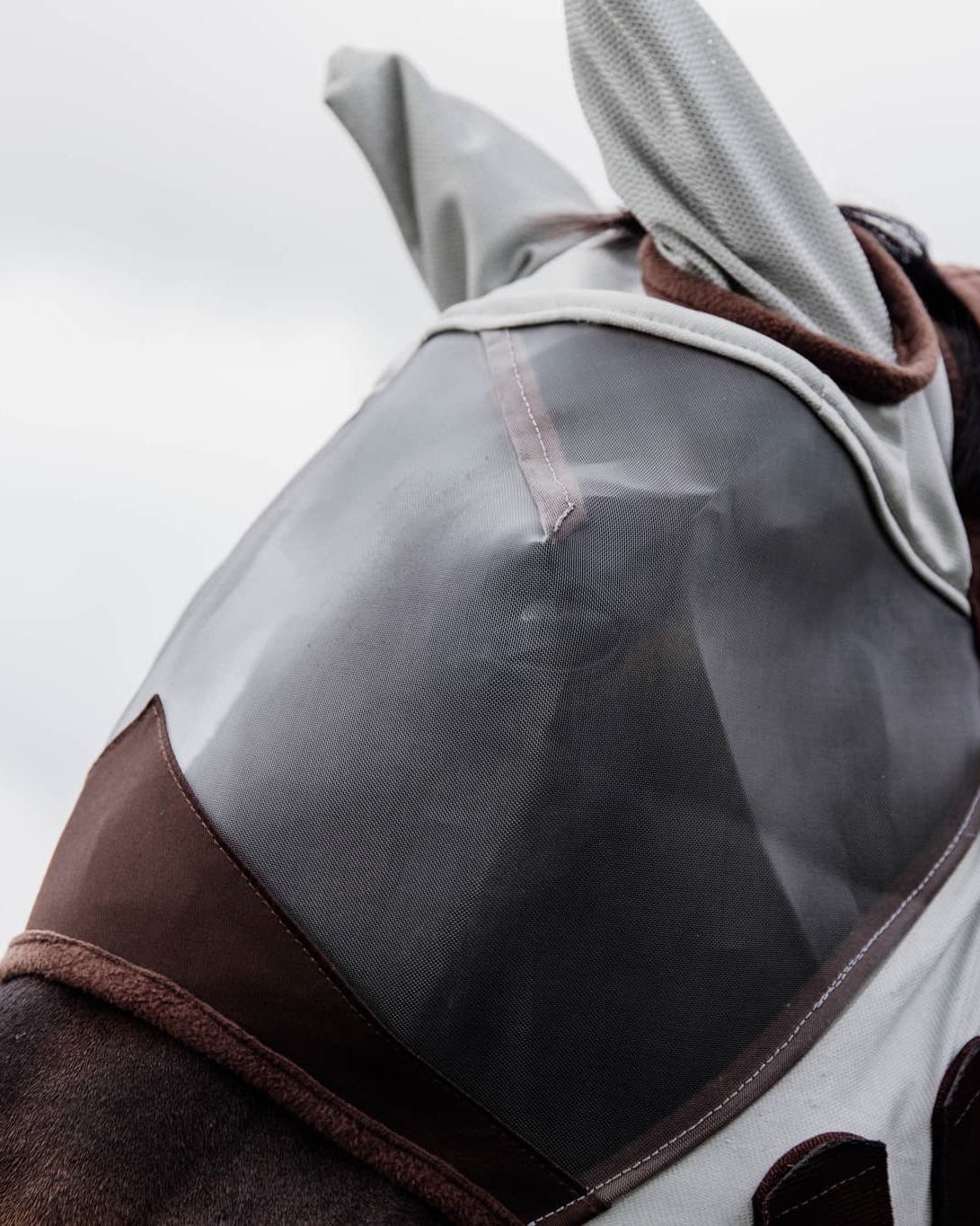 Classic fly mask with ears