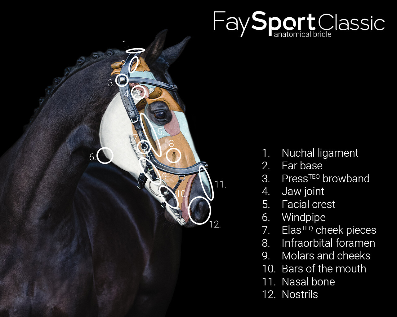 Trense FaySport Classic
