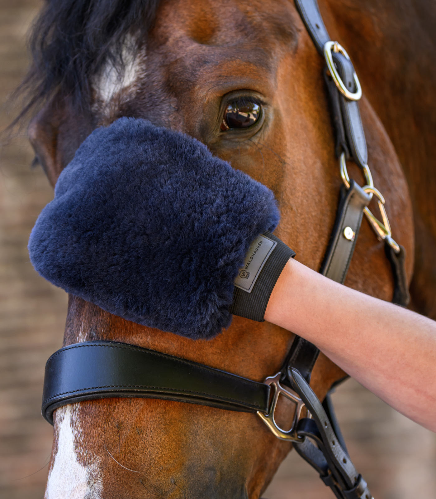 Lambskin-Grooming Glove Lucky