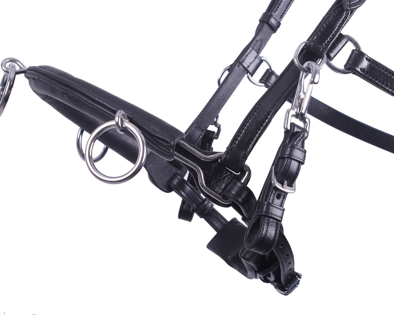 Leather cavesson