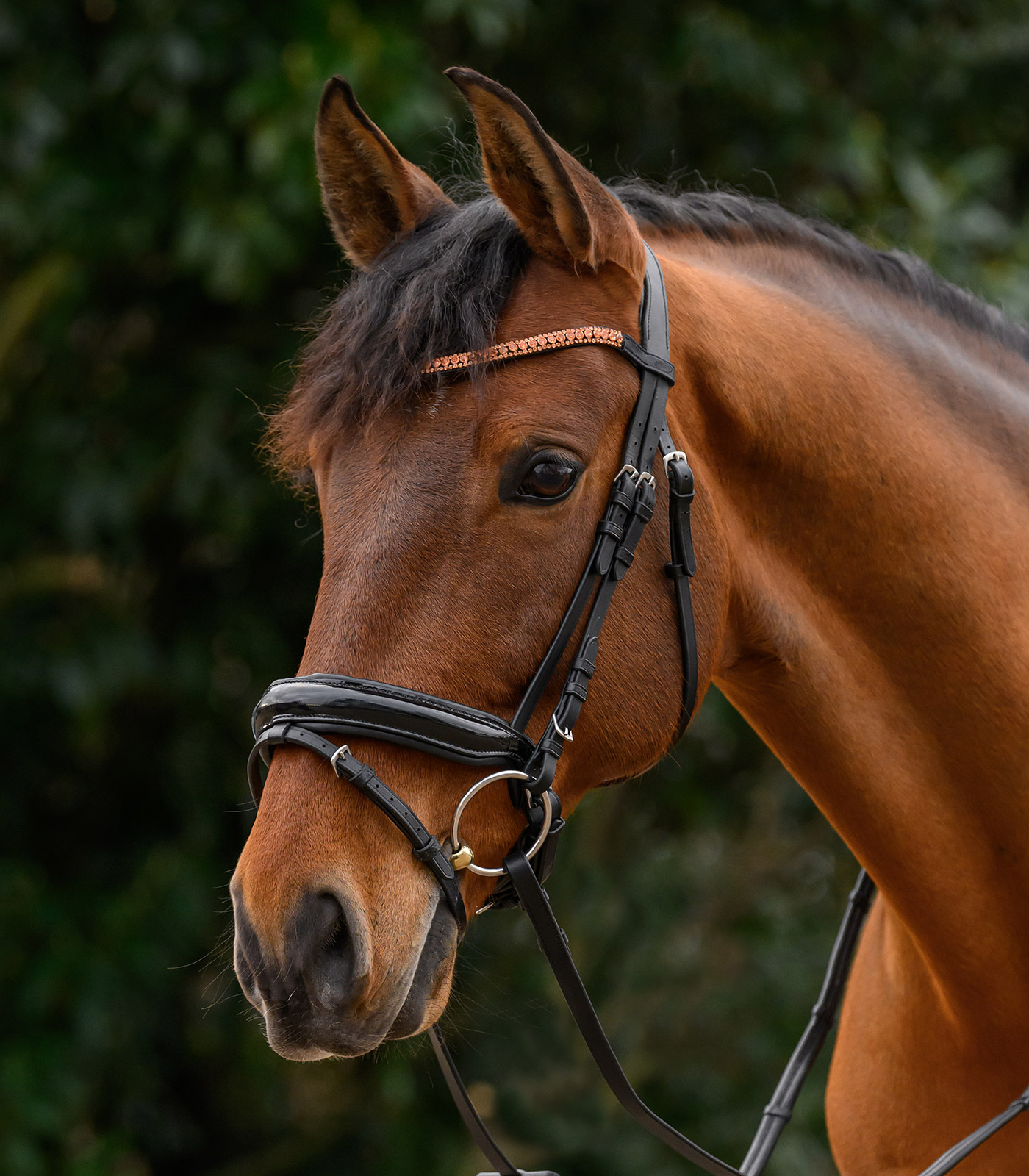 browband Glitter