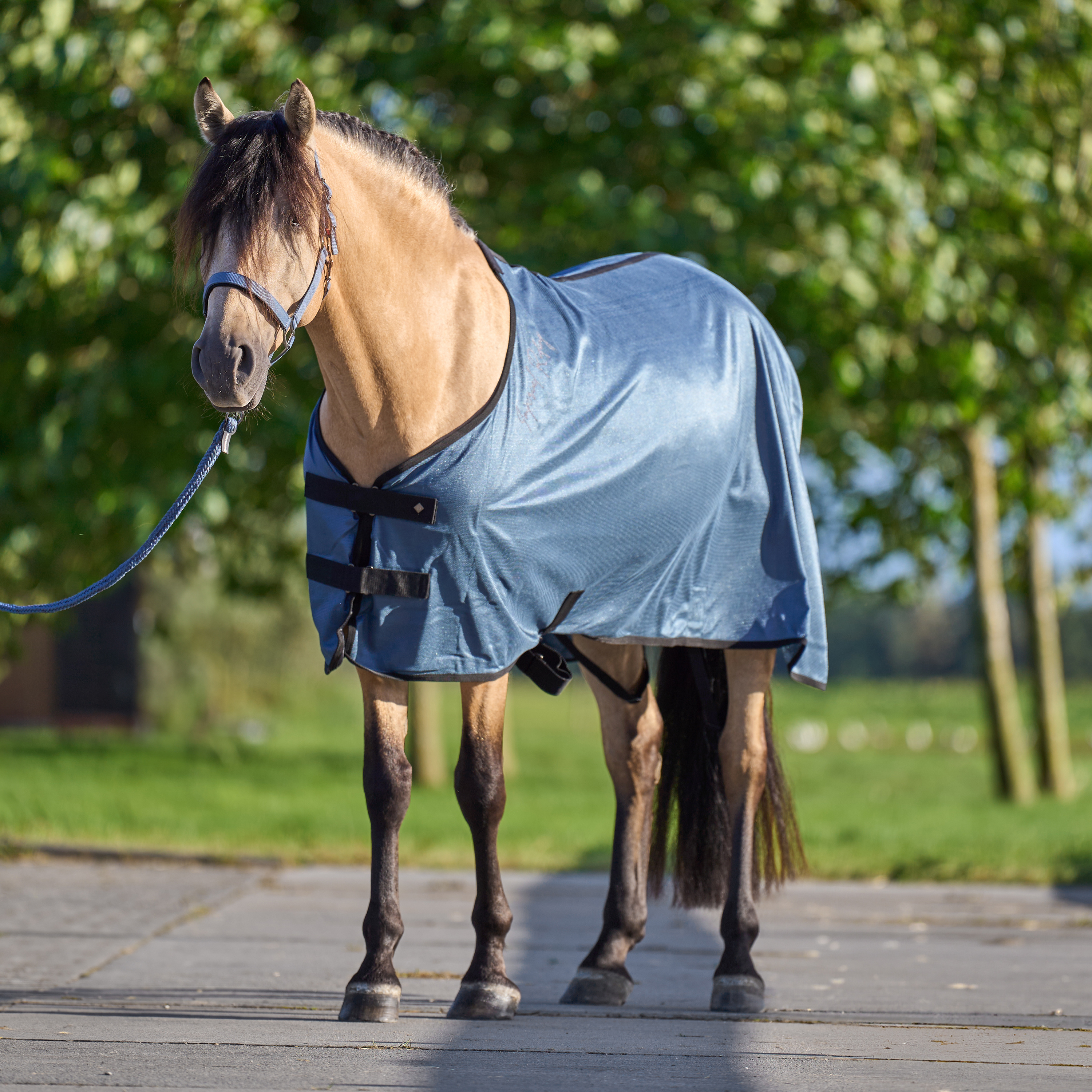 Transport blanket Mesh
