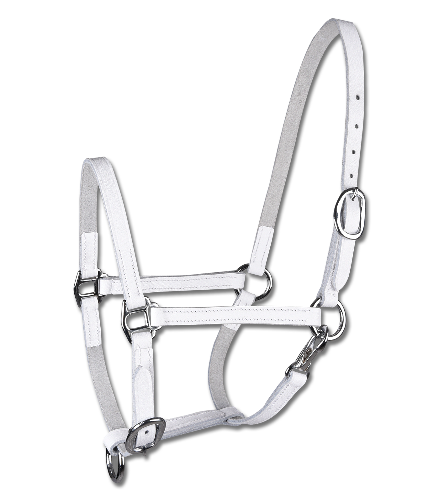 Foal presentation halter
