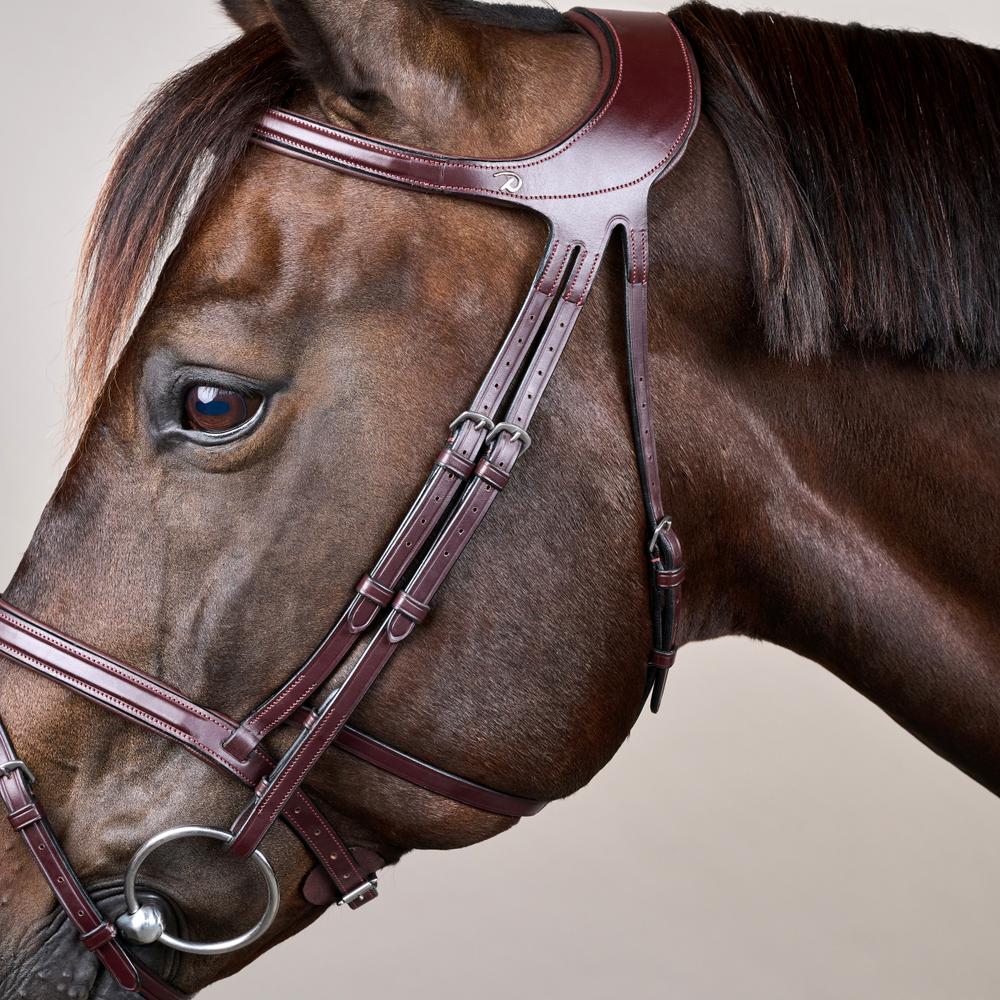 Difference Trense NE