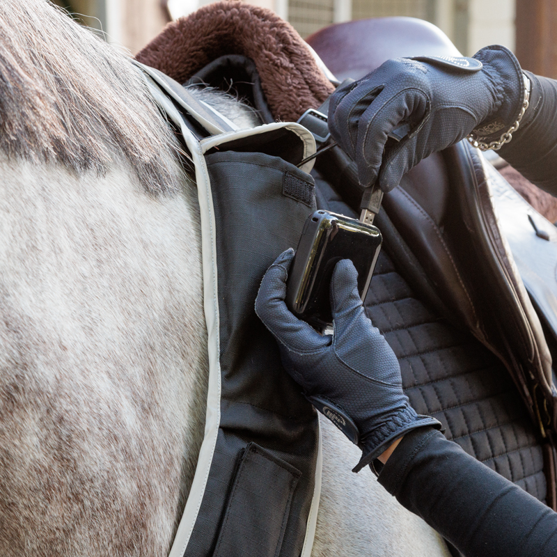 Breastplate "Horselight"-white front light