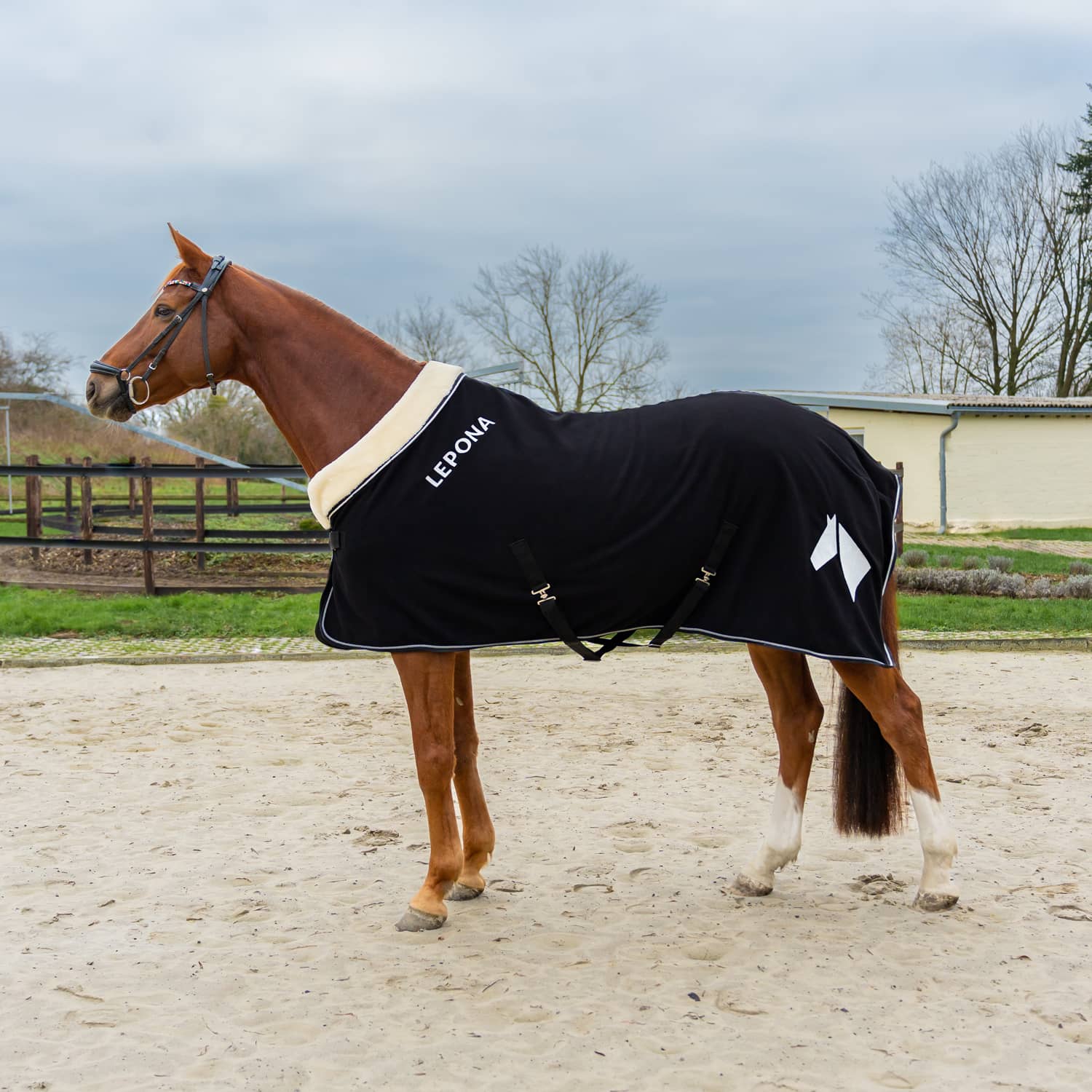 Lepona sweat rug in black