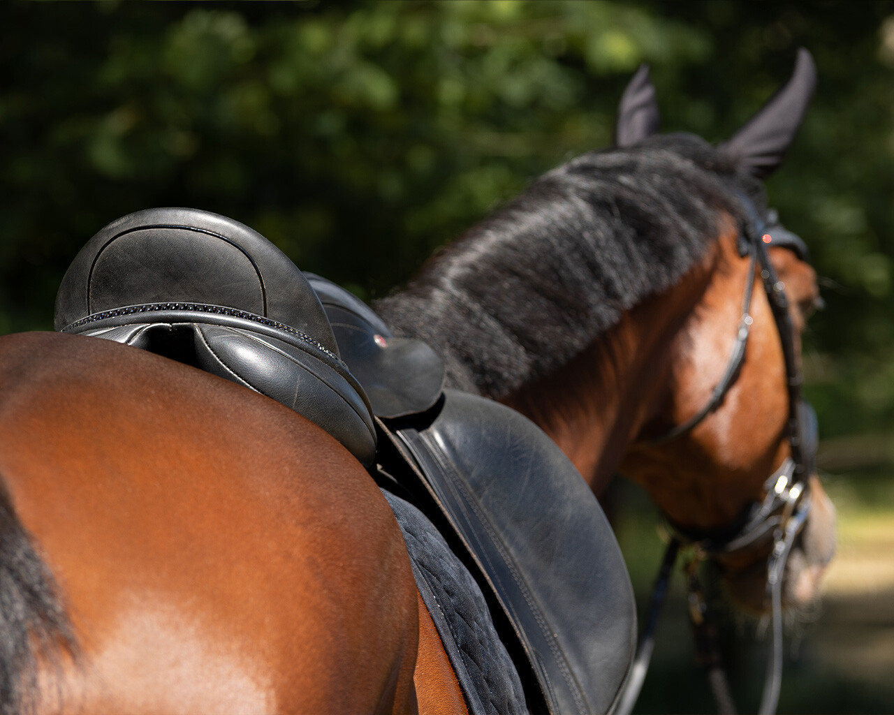 Saddle jewellery fading