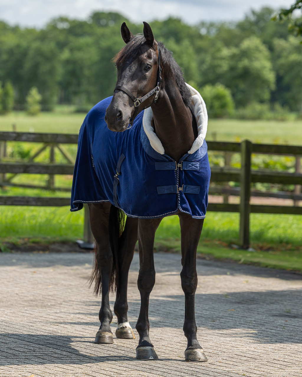 Brilliance sweat rug Brilliance sweat rug