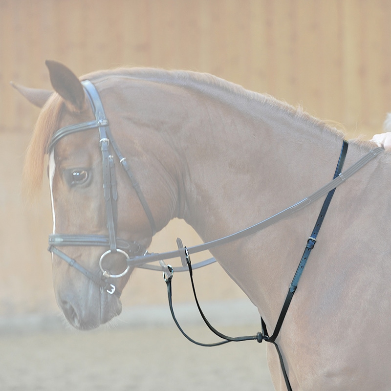 Martingale "Ecoline" with stopper