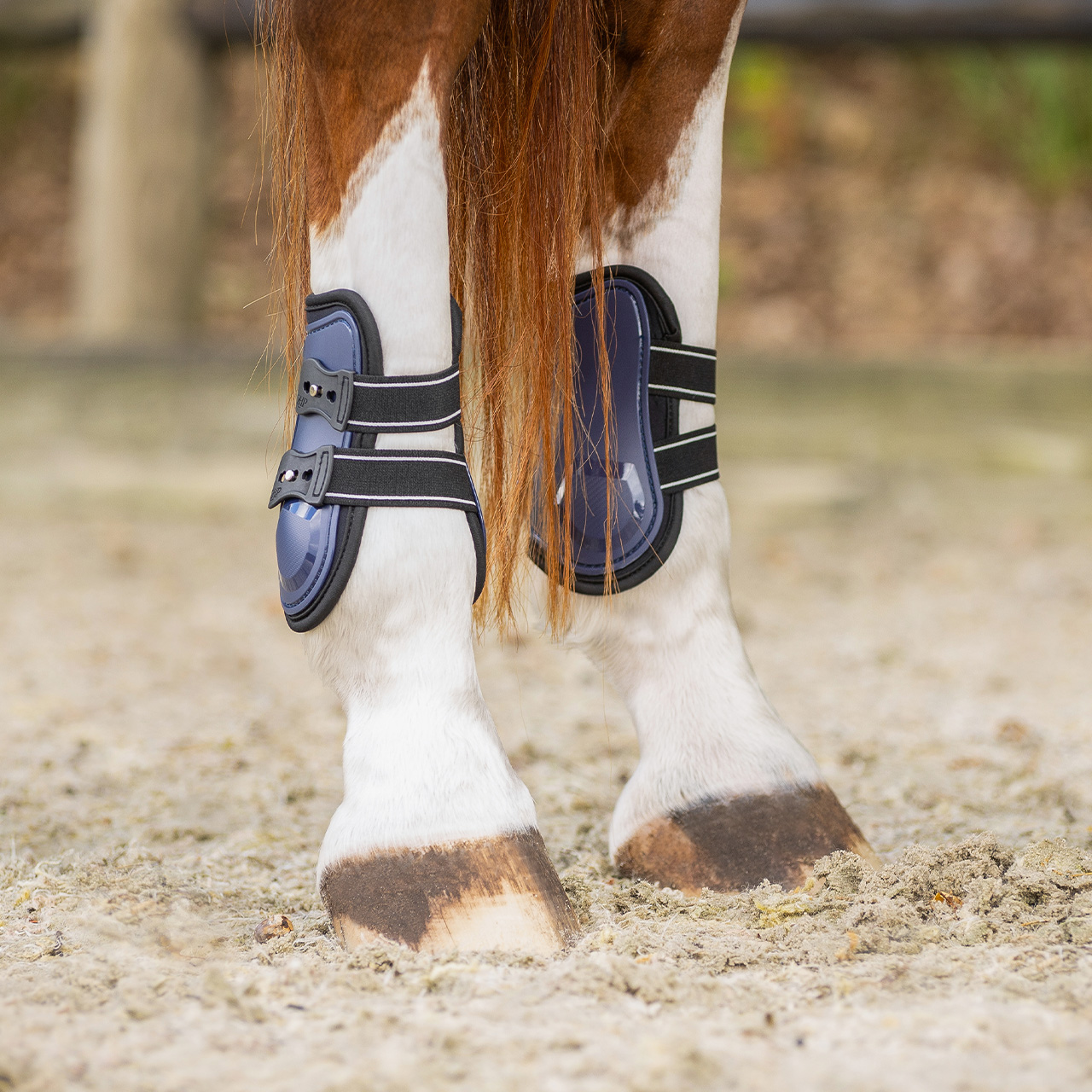 Champion fetlock boots