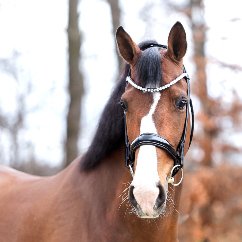 Floretta" headband