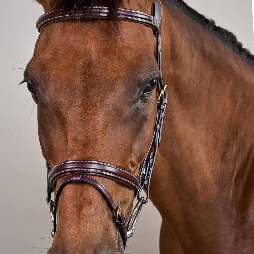 Difference Trense DY DY | Dy'on