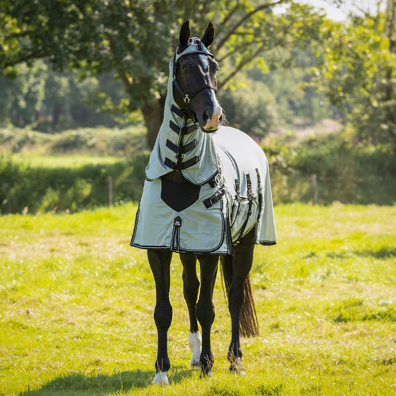Fly rug SmartProtection