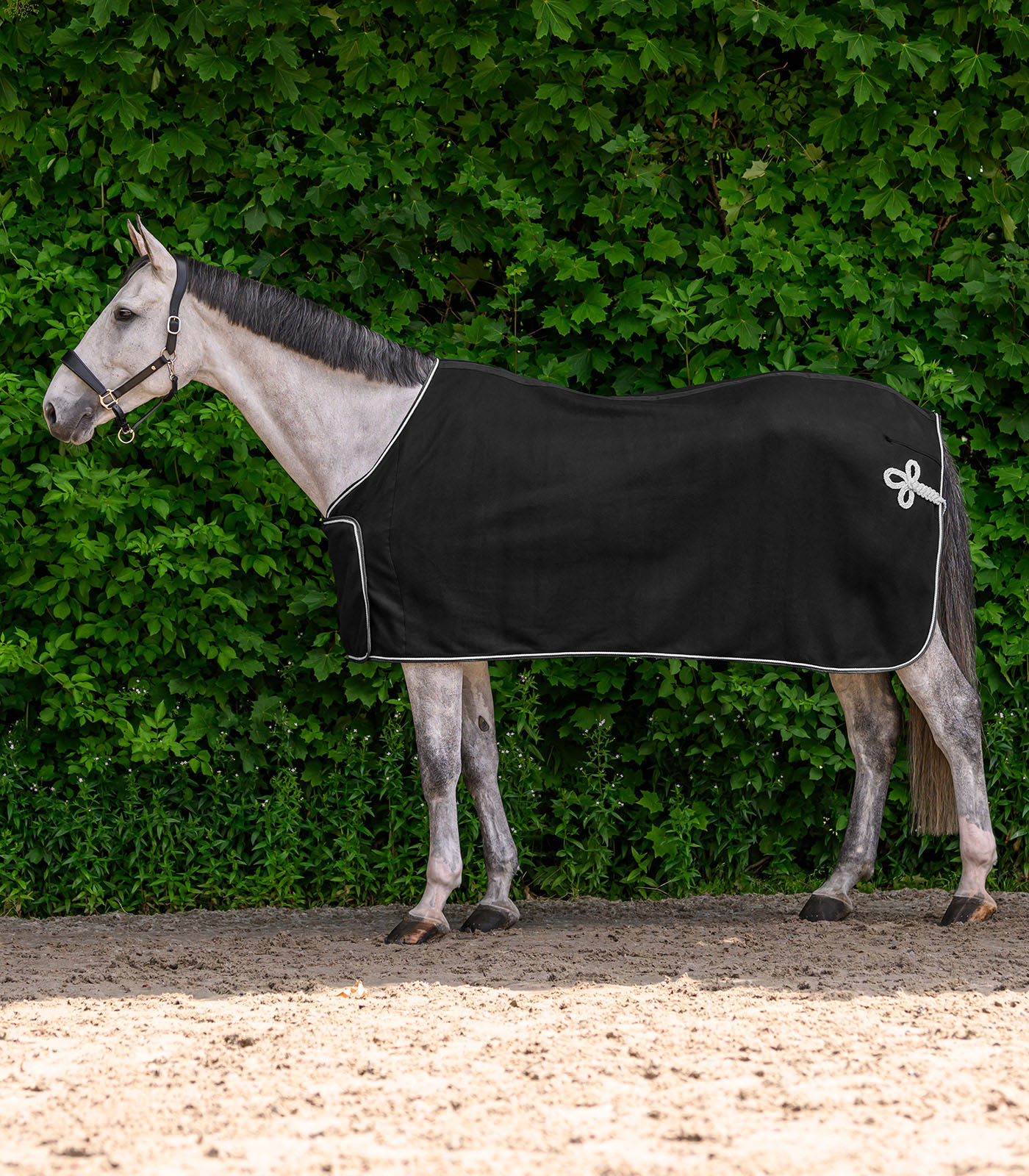 ECONOMIC Fleece Advertising rug