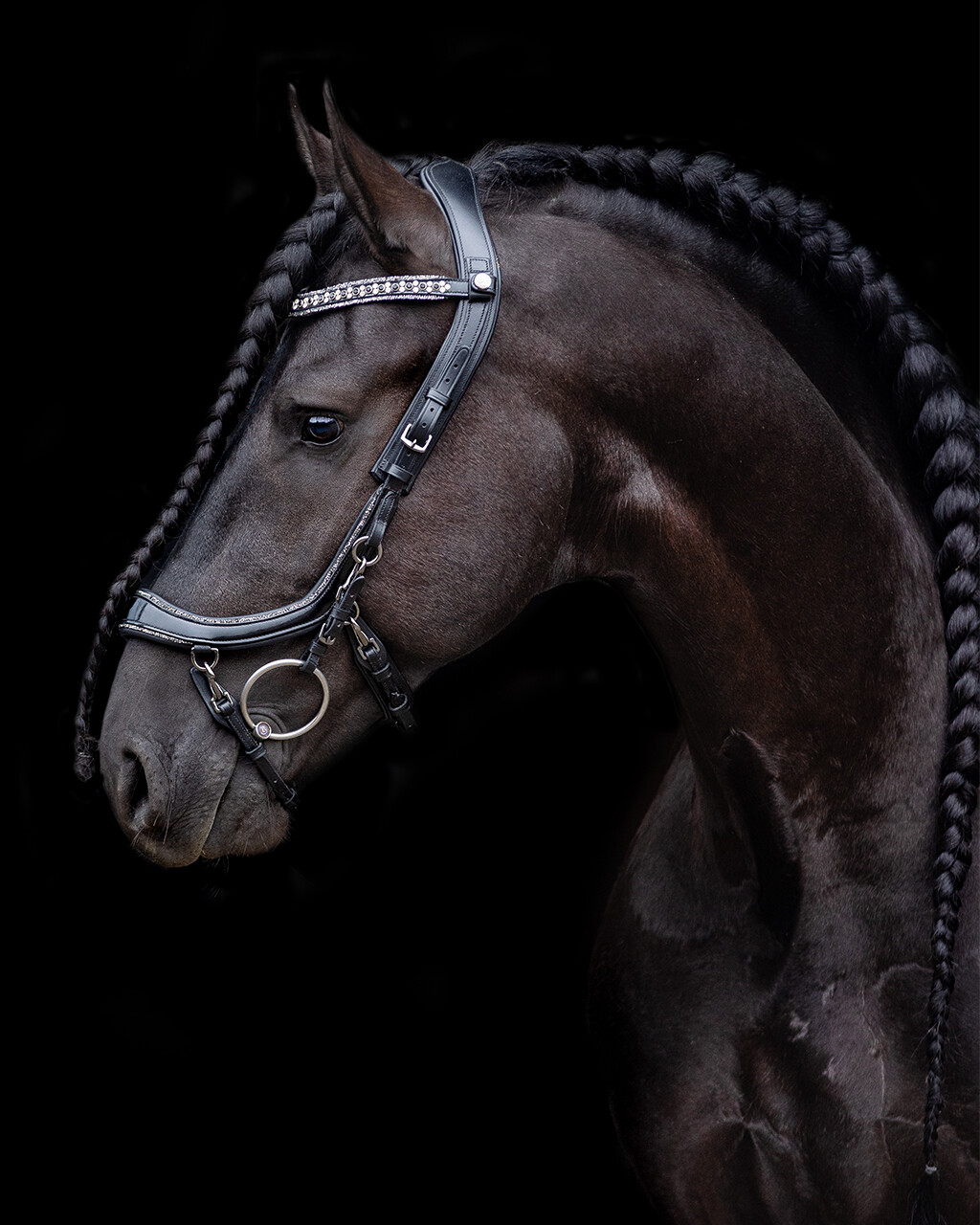 Browband FaySport Glitter