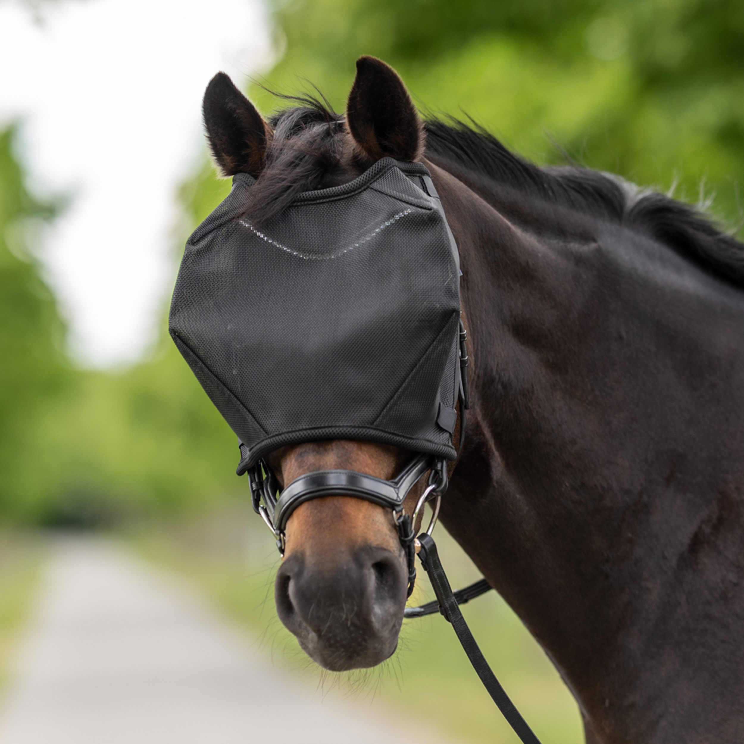 Masque anti-mouches Riding