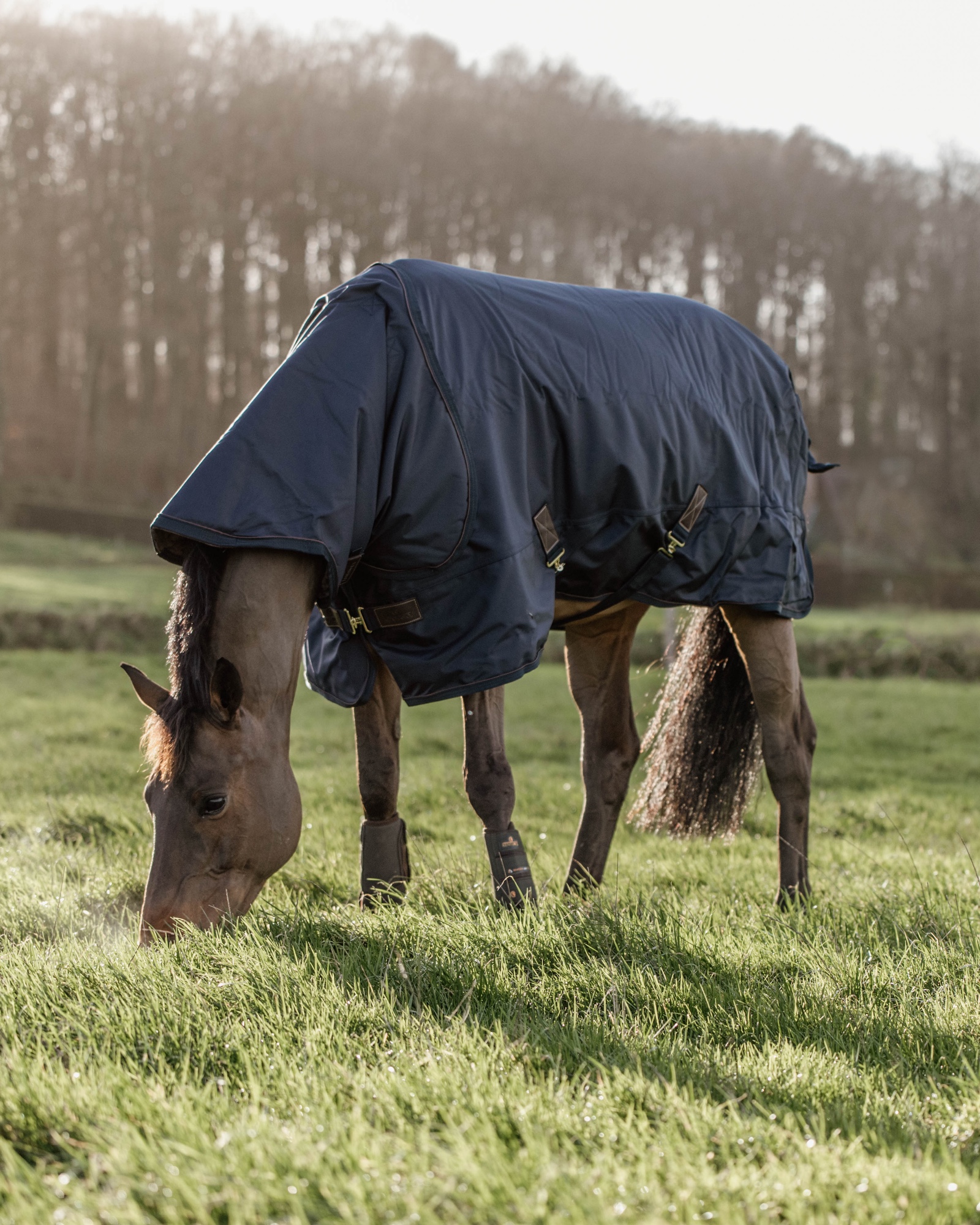 Outdoor rug All Weather waterproof Pro 300g