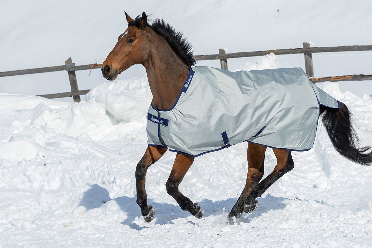 Bucas Pferdedecken Pferd mit Bucas Power Turnout im Schnee