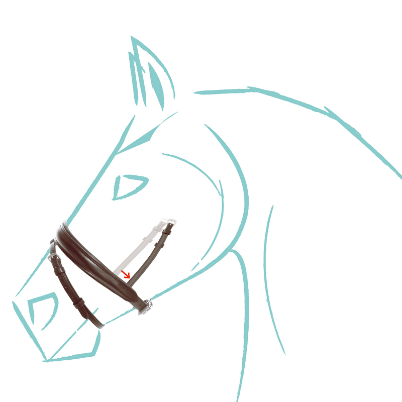 Eng.-komb. Reithalfter "Cre8"-Spezialgröße