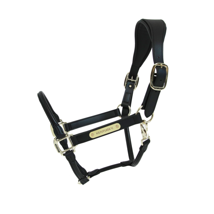 Headpiece Halter Anatomical Leather