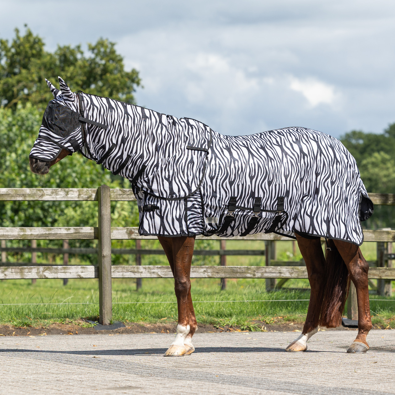 Fly rug with neck and bonnet