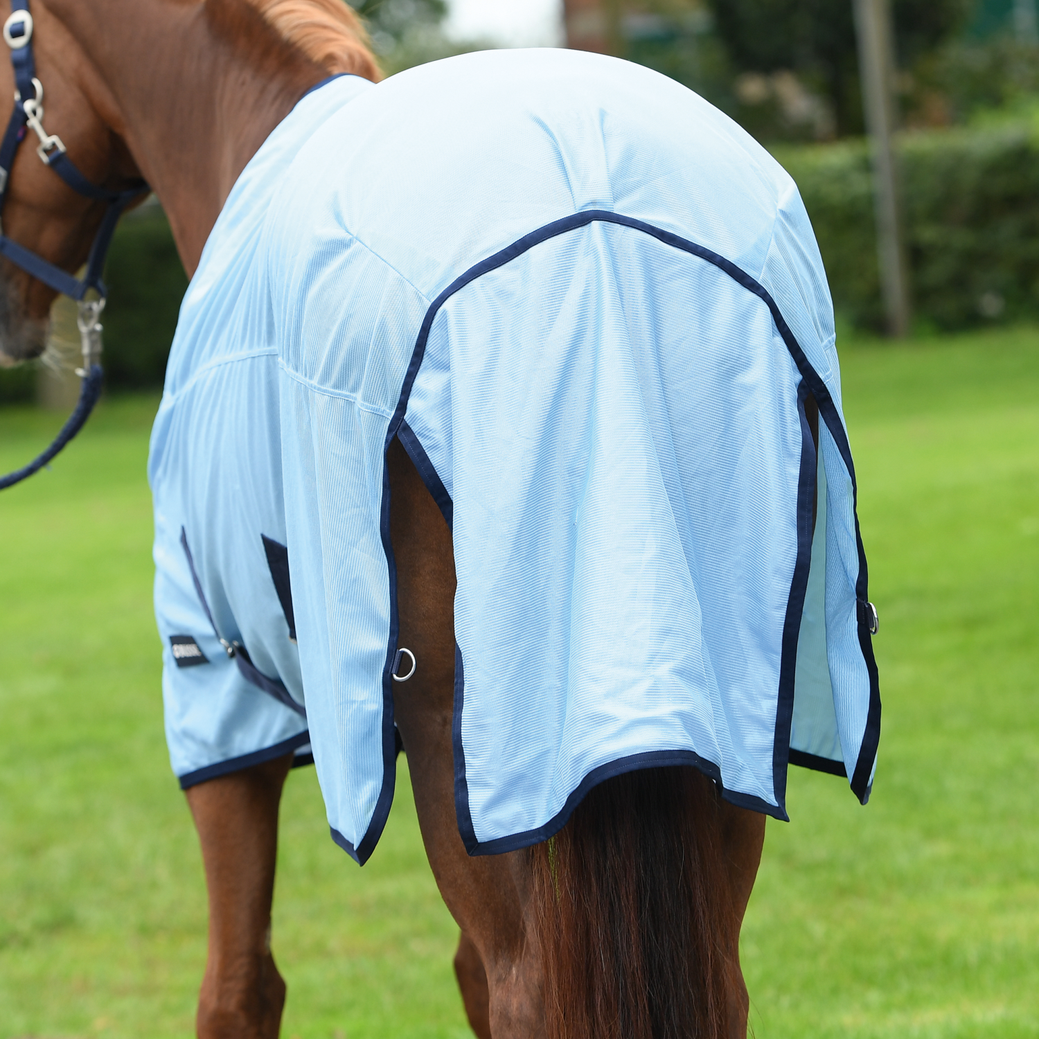 Sunshine II outdoor fly rug
