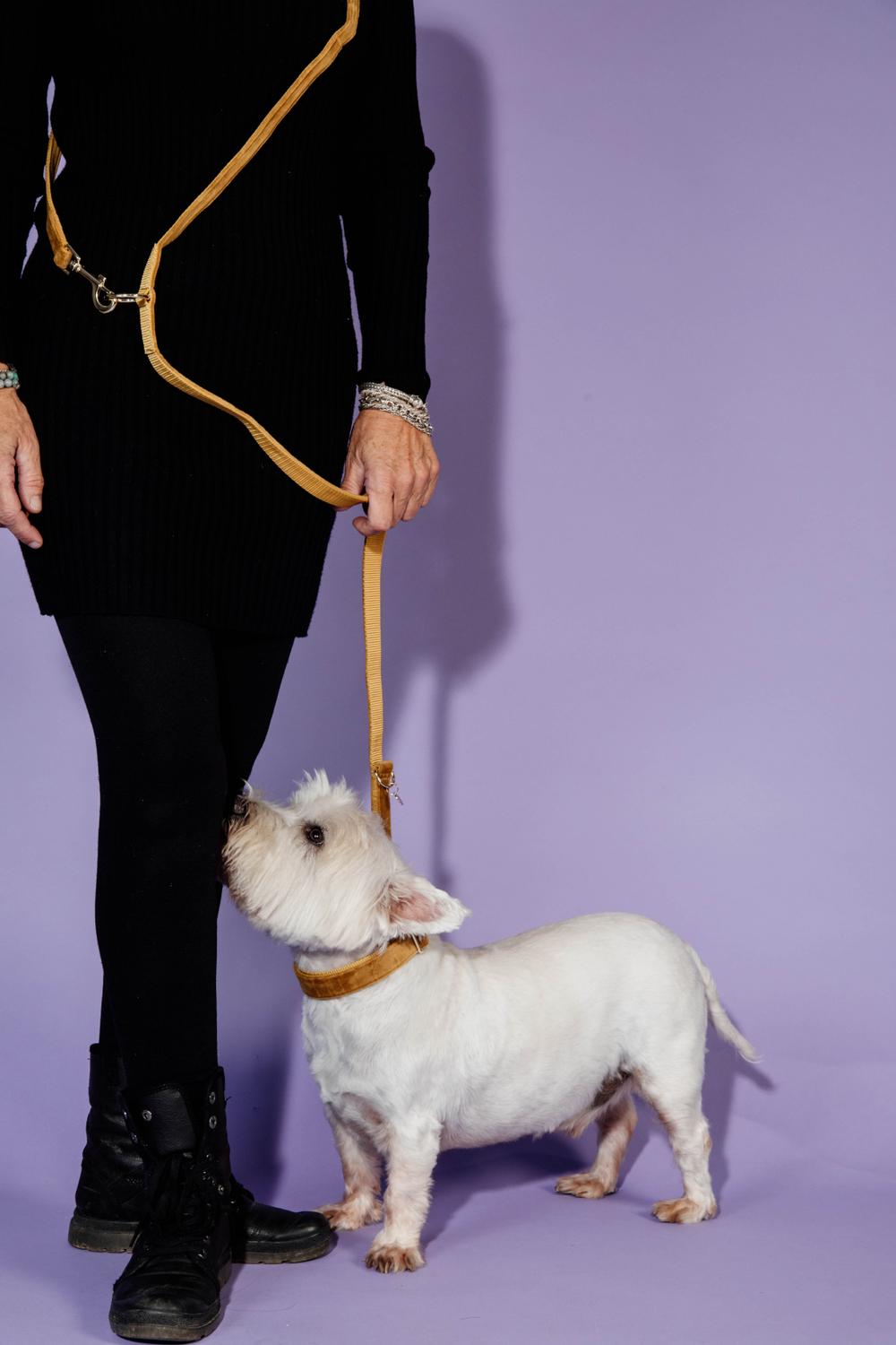 Hunde Leine Velvet 200 cm