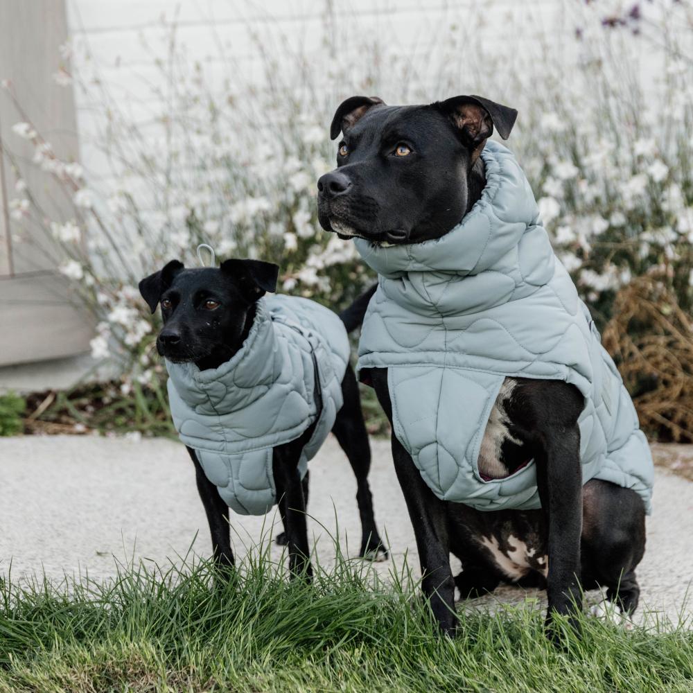 Hundemäntel Winter Pina