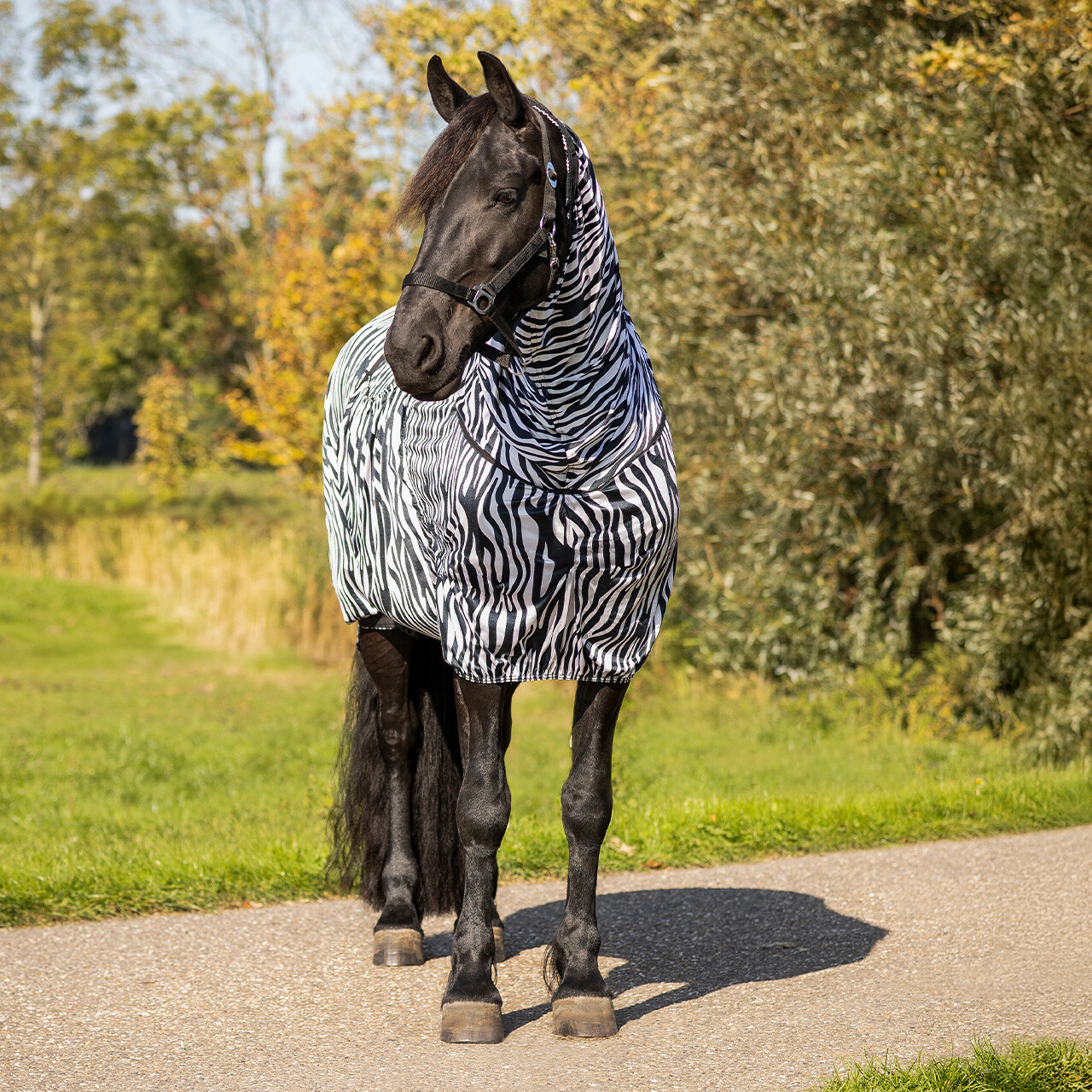 Eczema rug Big Neck