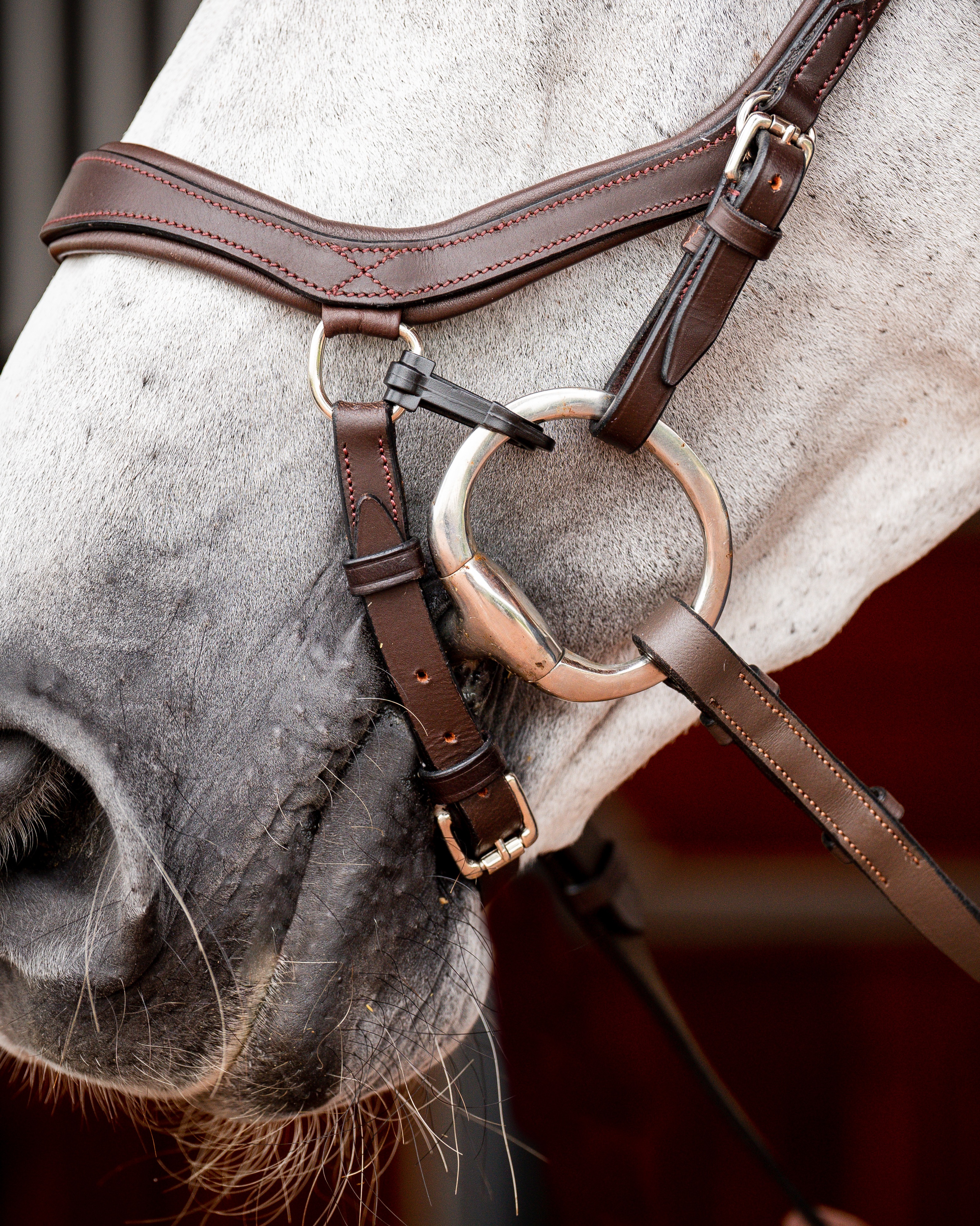 Trense Micklem Competition New in dark havana