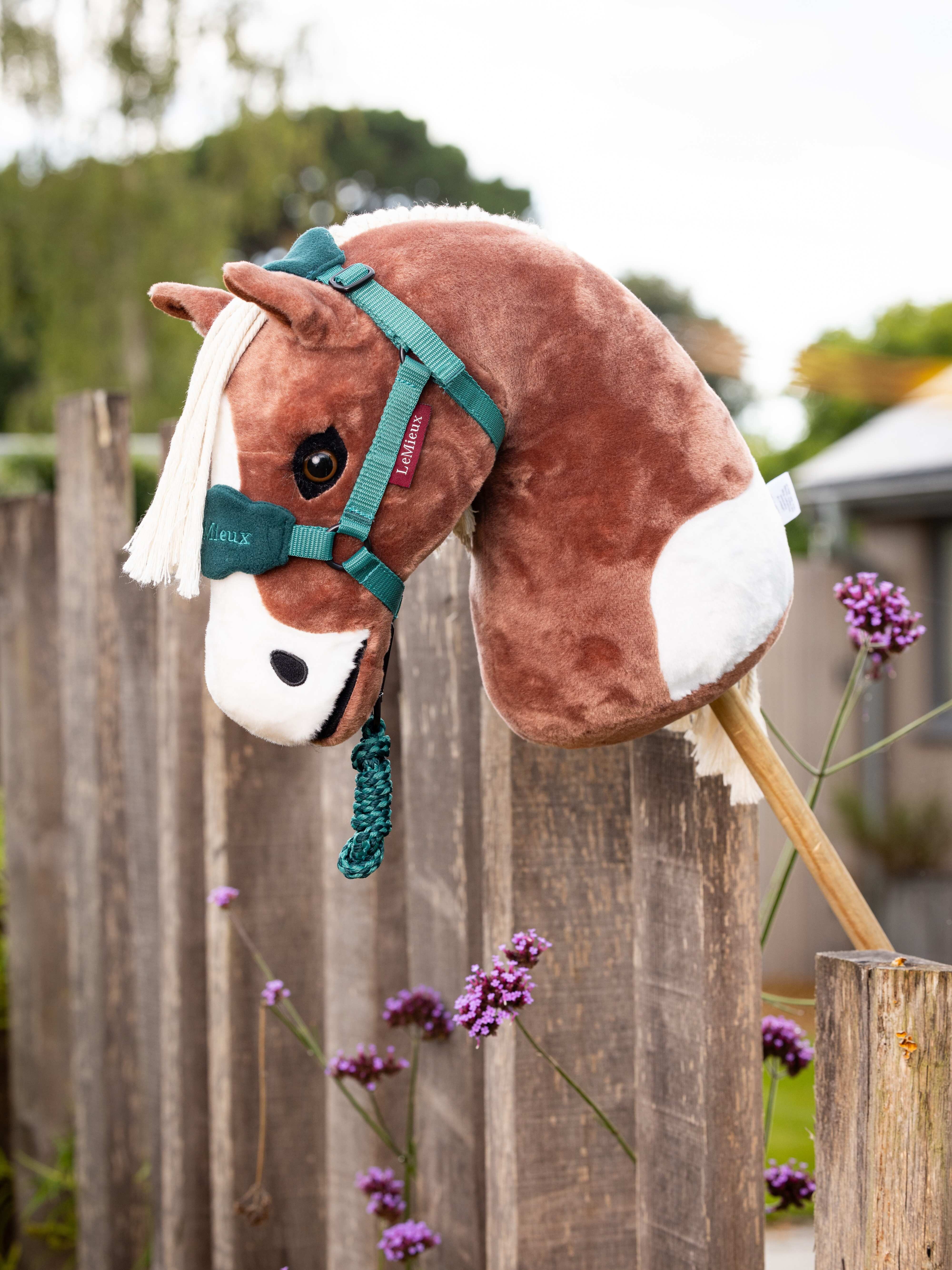 Hobby Horse Flash