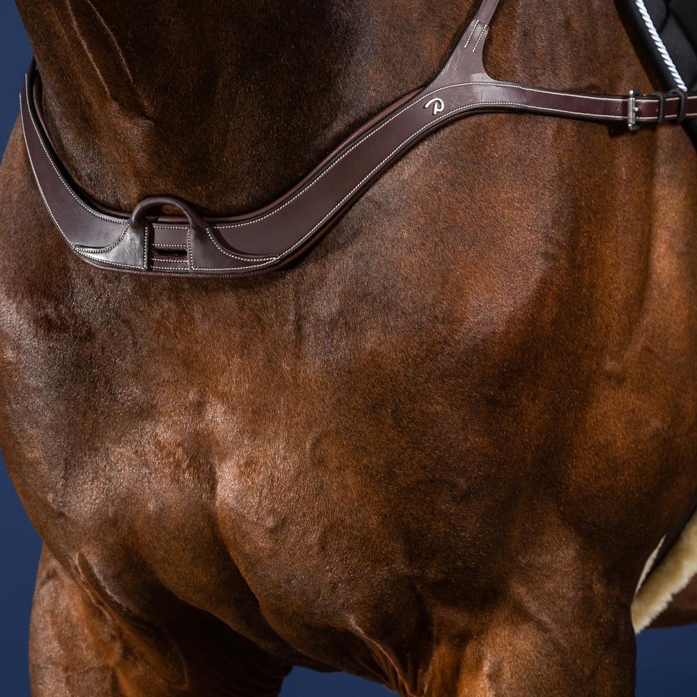 Anatomical breastplate